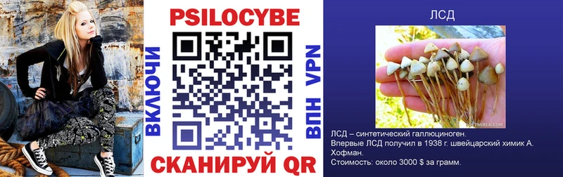 Купить где  Нариманов  Галлюциногенные грибы GOLDEN TEACHER 